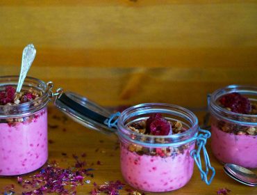 sockerfri-hallonyoghurt-recept-1