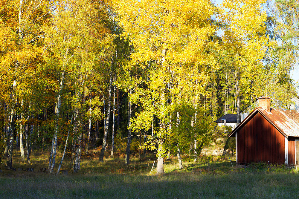 Solig höstdag i oktober