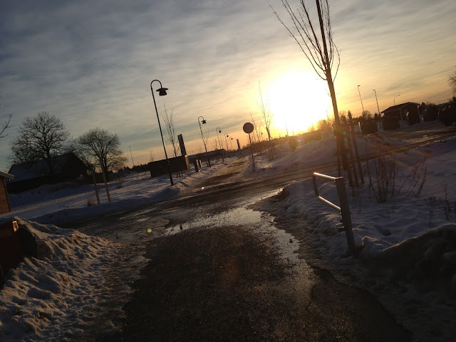 soligt-fran-och-till-jobbet-1 - Transportlöpning i mystempo