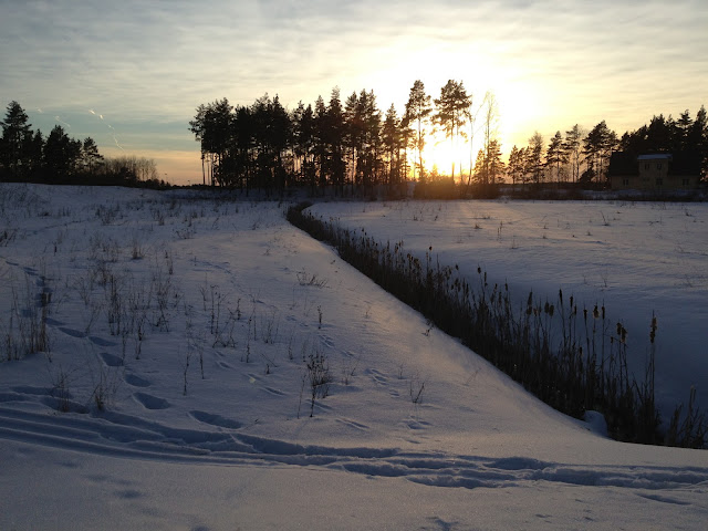 soligt-fran-och-till-jobbet-2 - Transportlöpning i mystempo