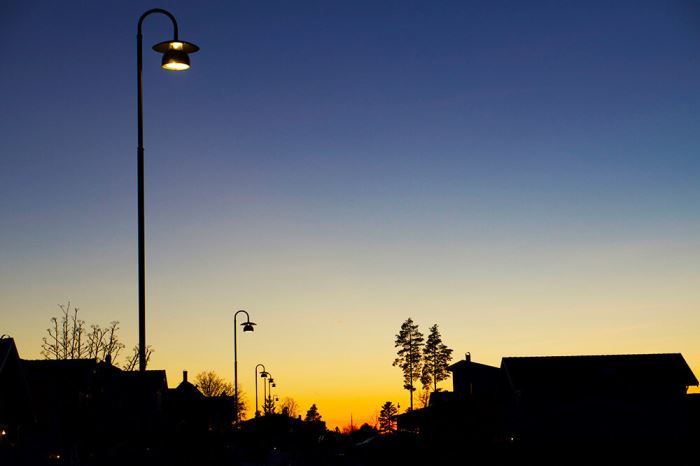 Solnedgång på vintern