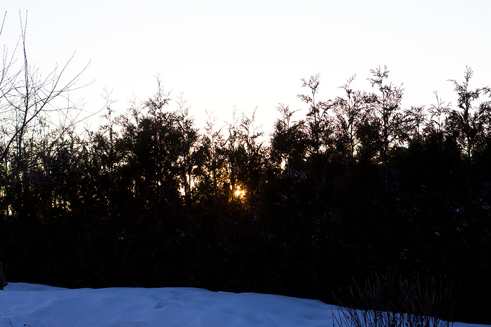 solnedgång över husen hemma hos oss på vintern