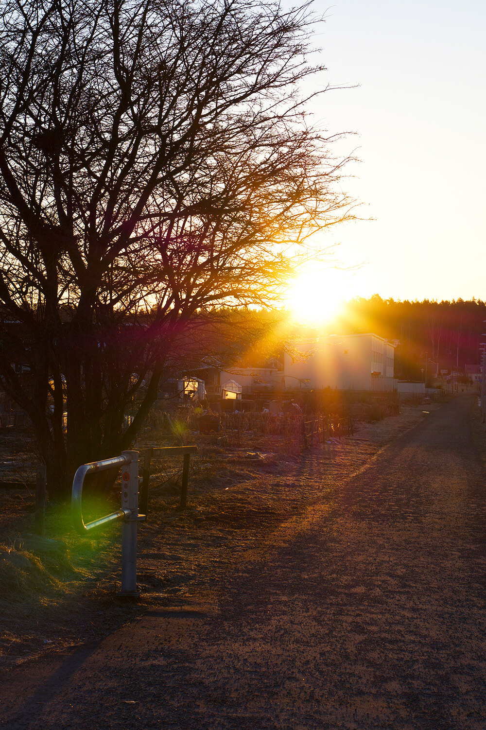 Soluppgång under morgonpromenad