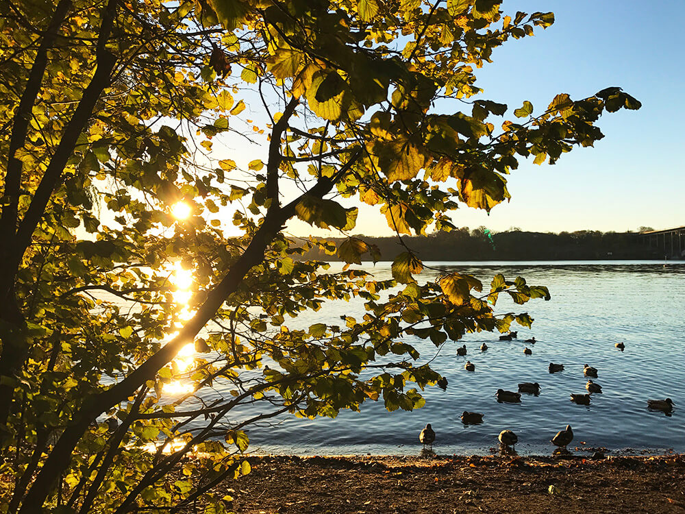 Soluppgång i november vid Norr Mälarstrand, Stockholm