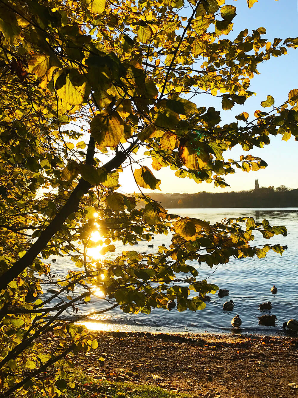 Soluppgång i november vid Norr Mälarstrand, Stockholm
