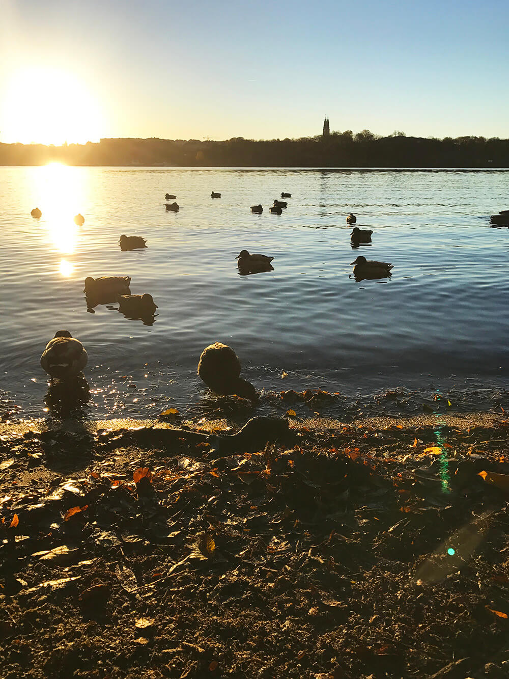 Soluppgång i november vid Norr Mälarstrand, Stockholm