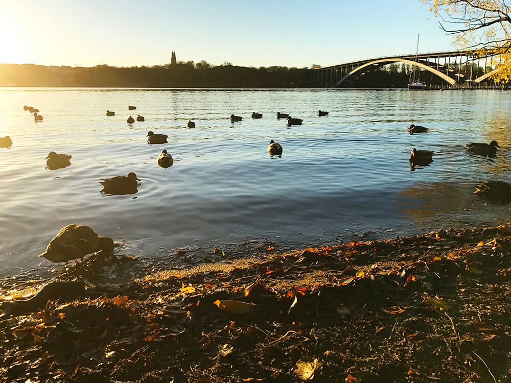 Soluppgång i november vid Norr Mälarstrand, Stockholm