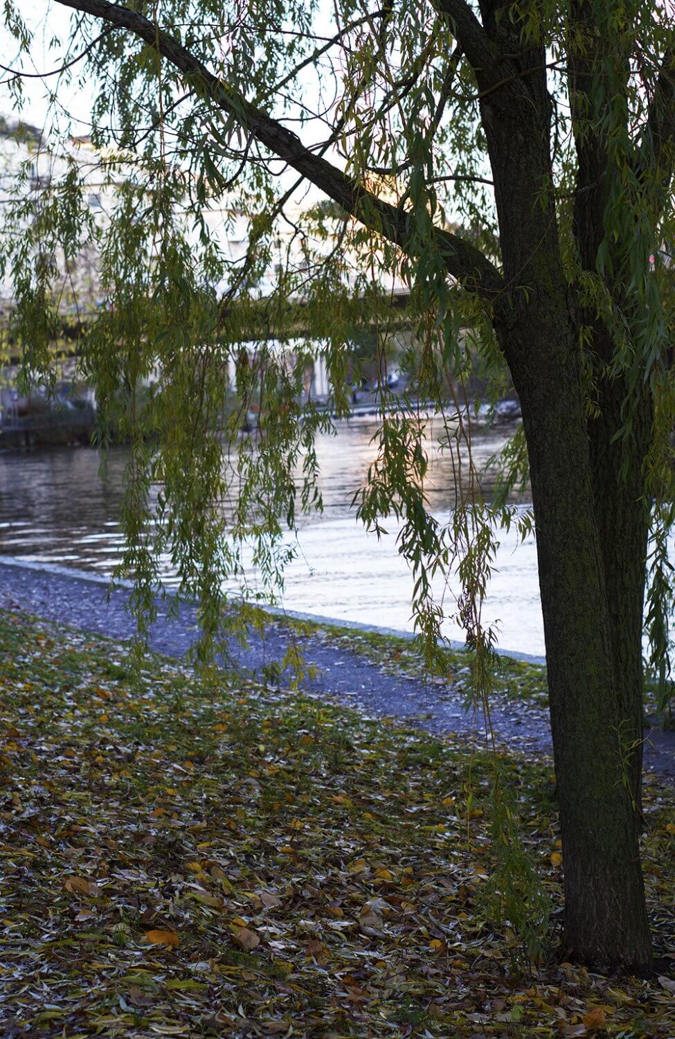 soluppgång i Stockholm