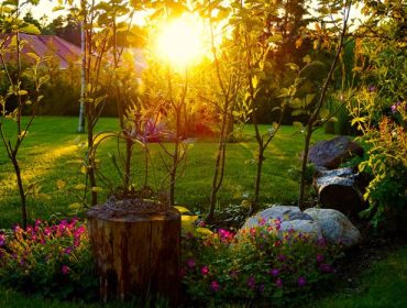 sommar-bucketlist-tradgarden-2