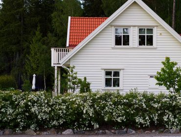 sommar-i-tradgarden-1