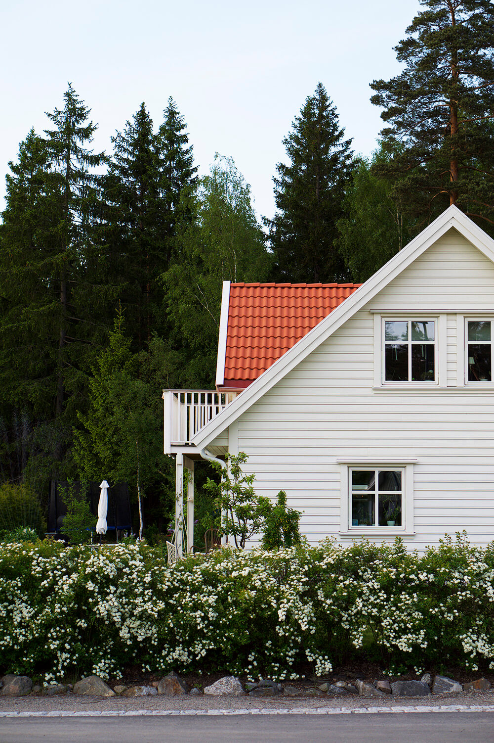 sommar i trädgården