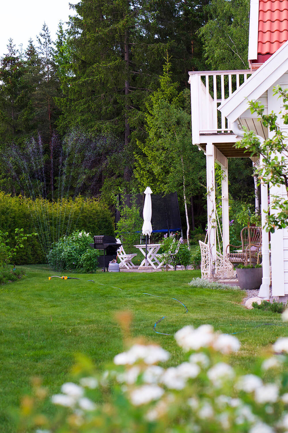 sommar i trädgården