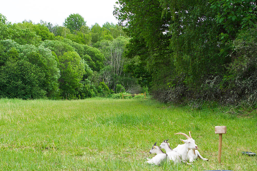 Nationaldag på Skokloster