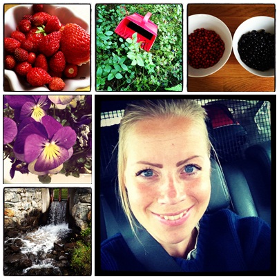 sommar2 - Sommarminnen