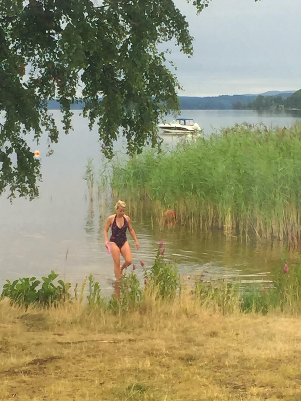 Sommarbad i sjön Fryken, Värmland