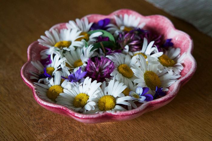 Sommarblommor i skål