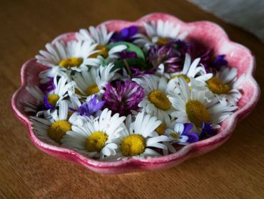 sommarblommor-inomhus-1