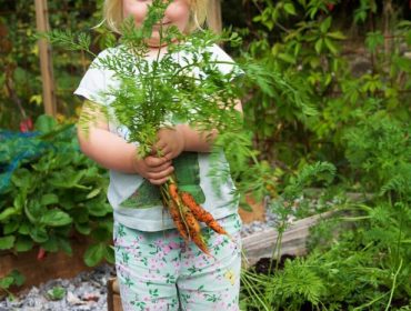 sommaren-fortsatter-1