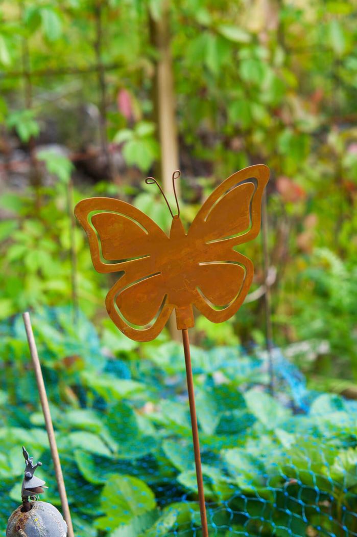 fjäril i jordgubbslandet