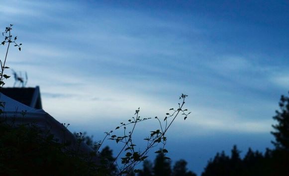 Sommarkväll från bilen