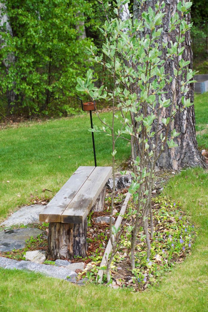 sommarkväll i trädgården