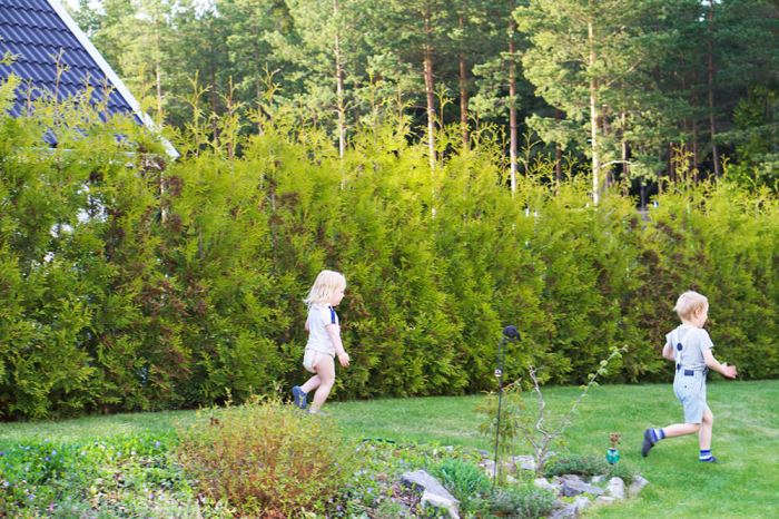 barnen och sommarkväll i trädgården