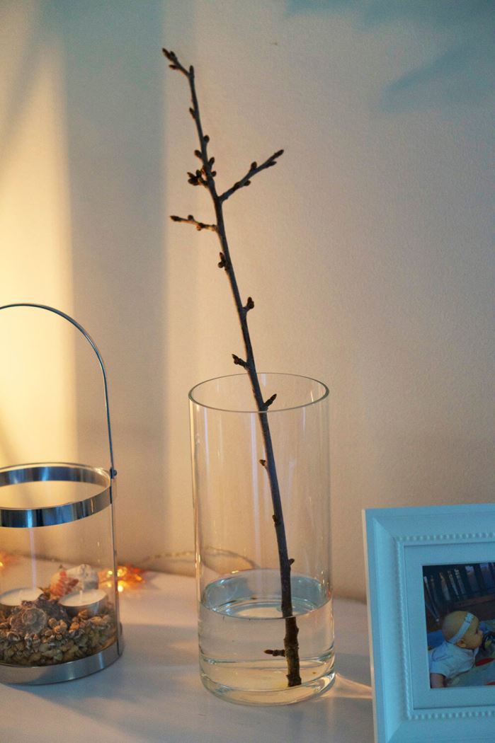 vas med en gren från körsbärsträdet