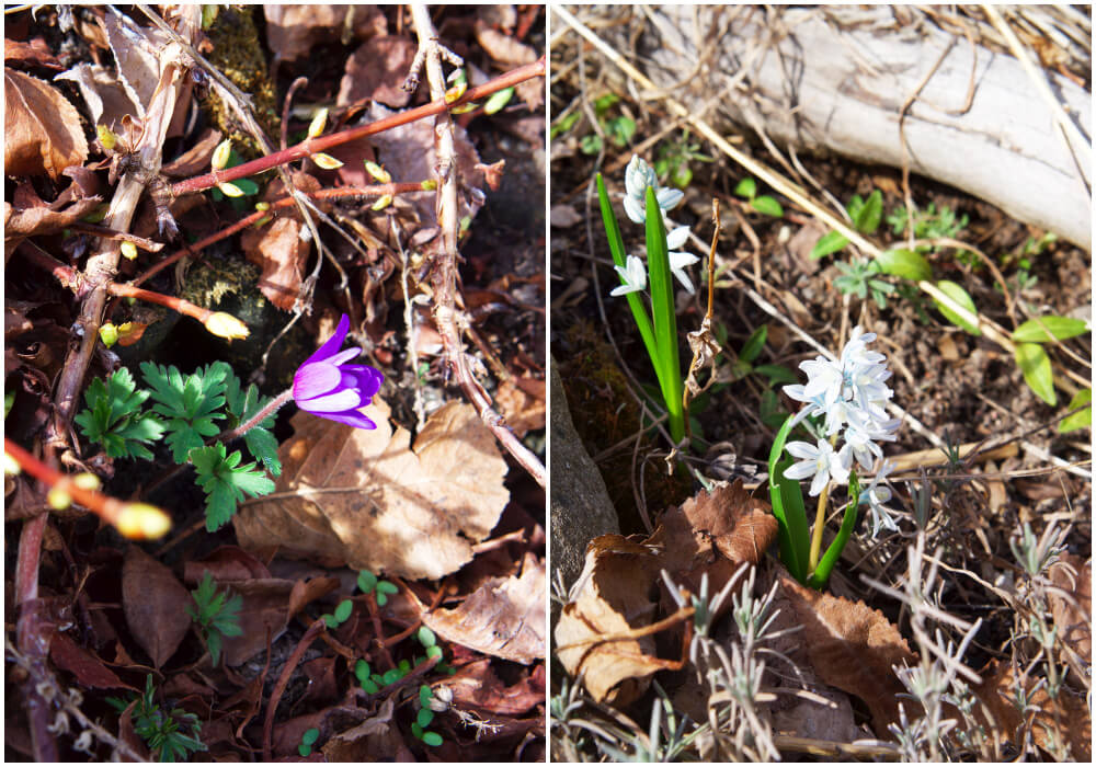 Söndag hemma hos oss