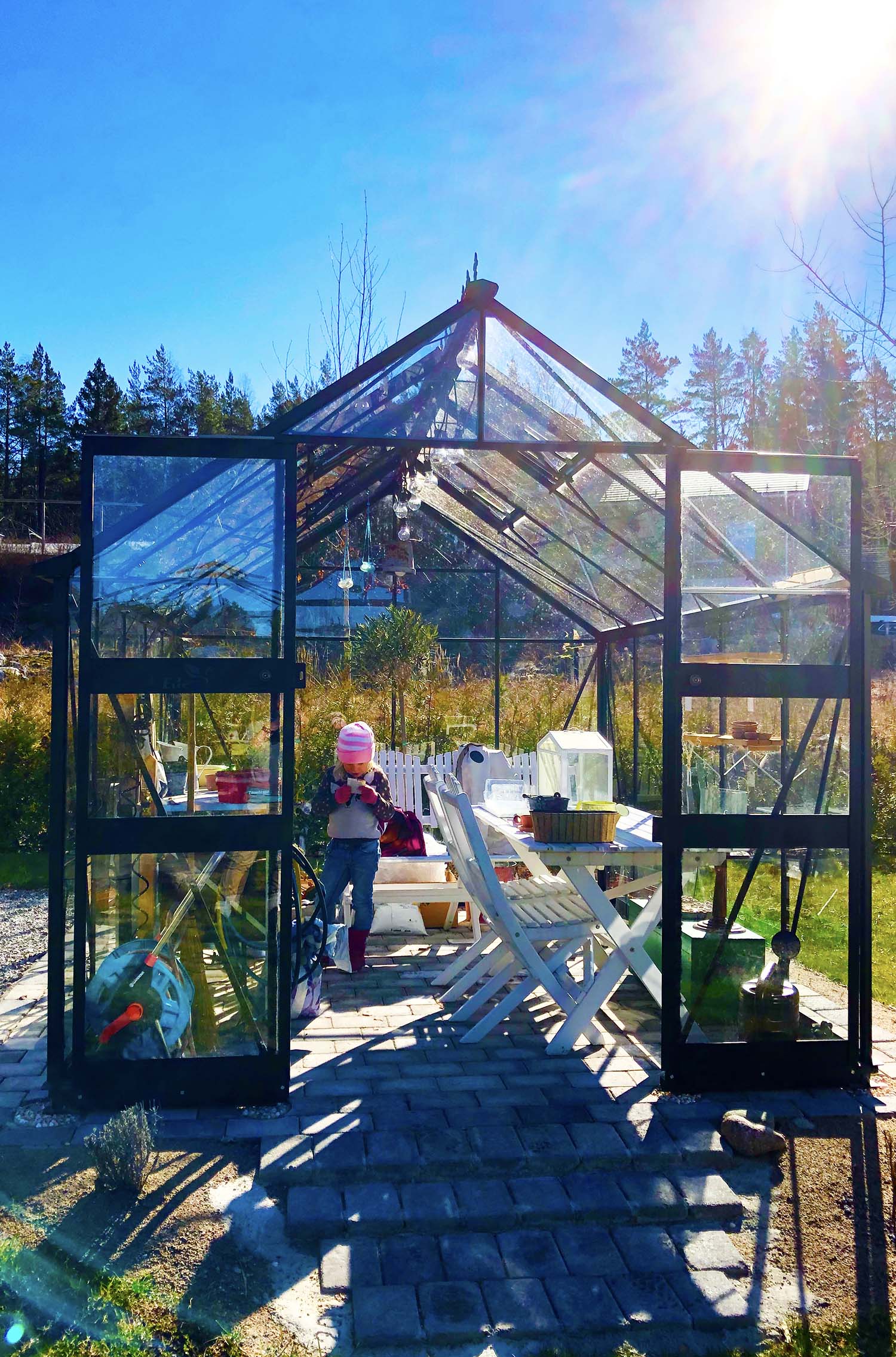 Frösådd i växthuset