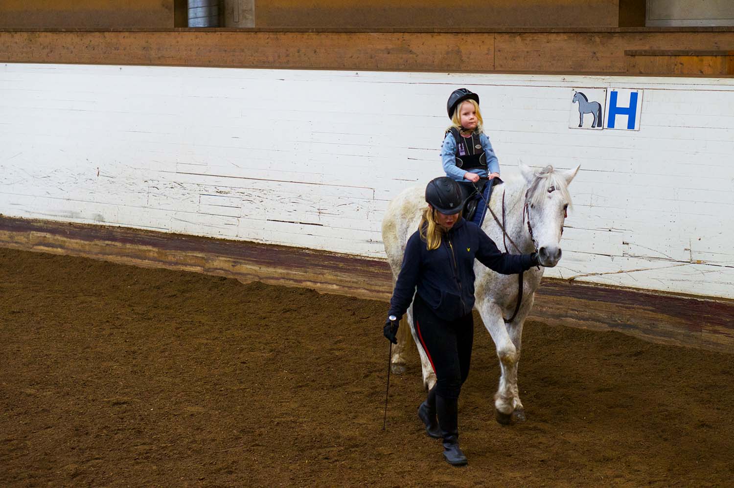Stallet ridning på häst