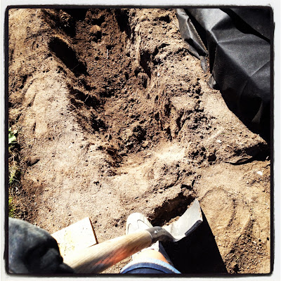 stenlaggning-och-hackplantering-2 - Trädgårdsprojekt