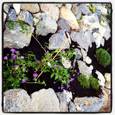 stenlaggning-och-hackplantering-4 - Trädgårdsprojekt