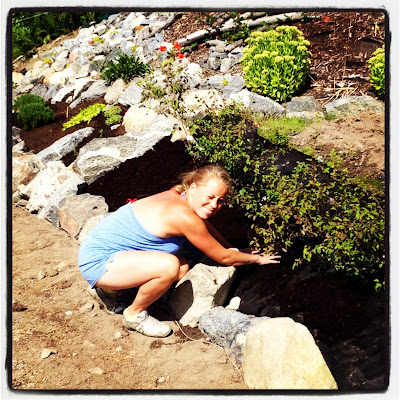 stenlaggning-och-hackplantering-5 - Trädgårdsprojekt