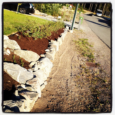 stenlaggning-och-hackplantering-6 - Trädgårdsprojekt