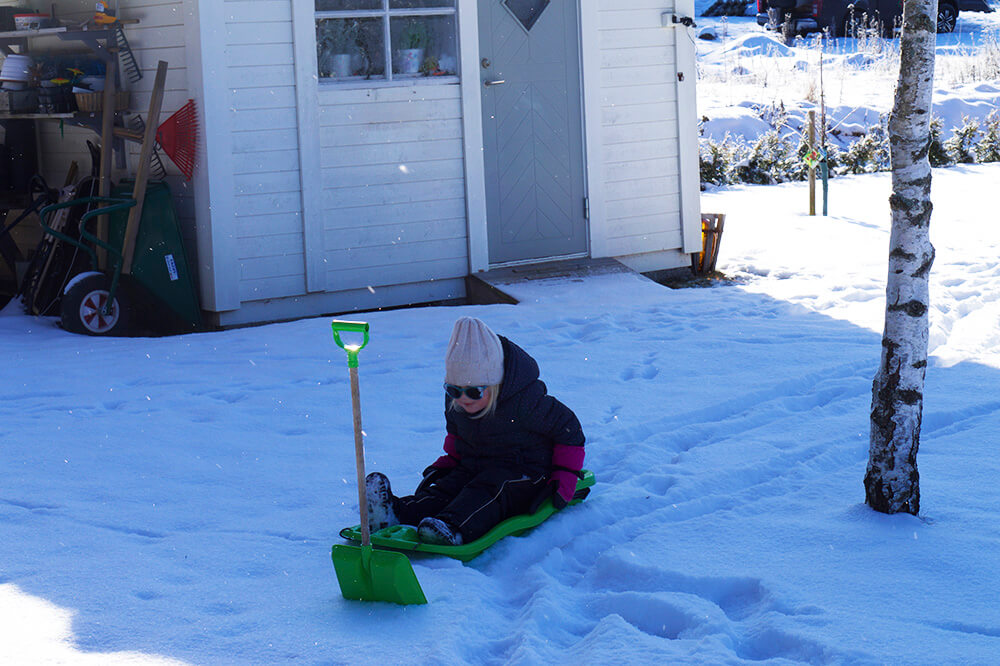 Vinter i trädgården
