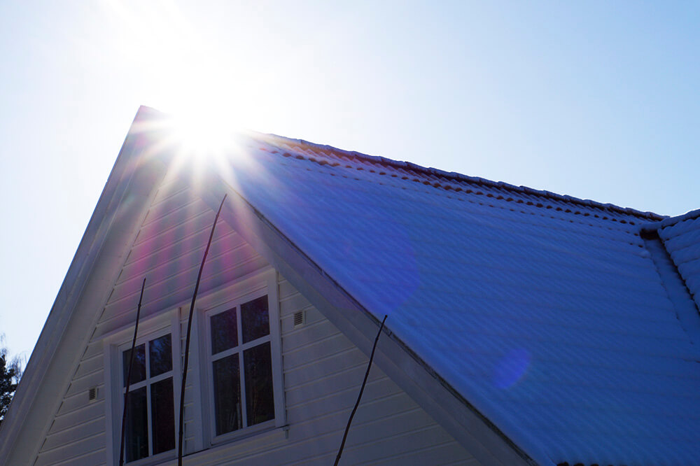 Vinter i trädgården