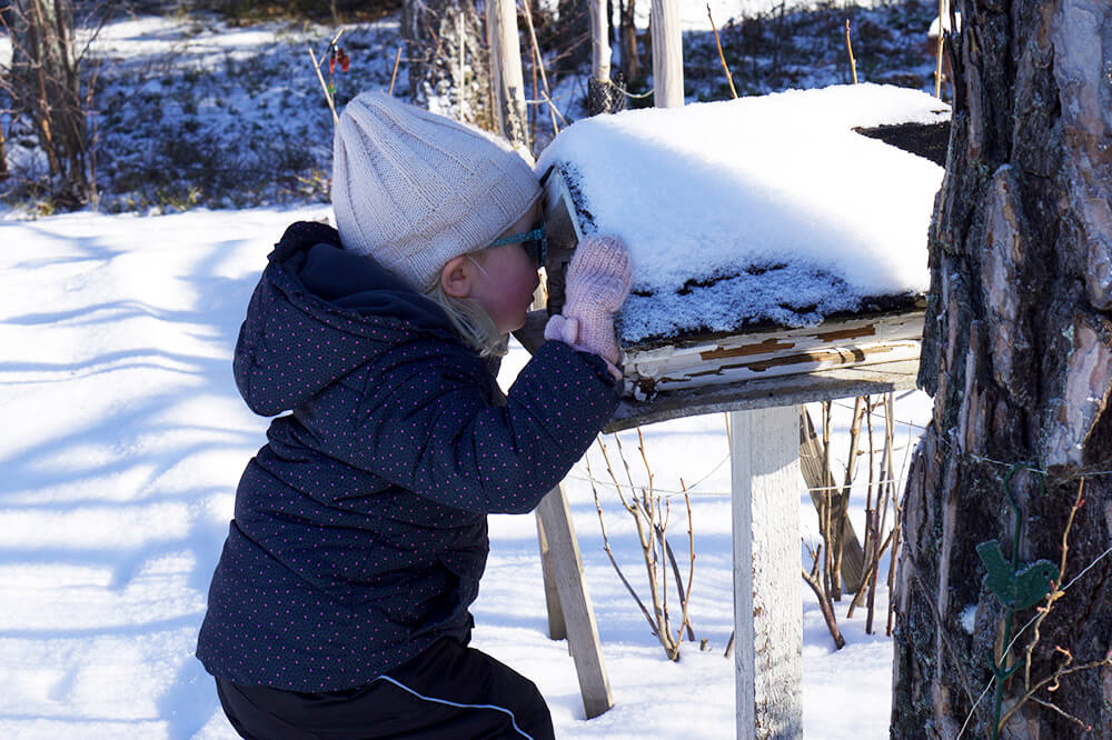Vinter i trädgården