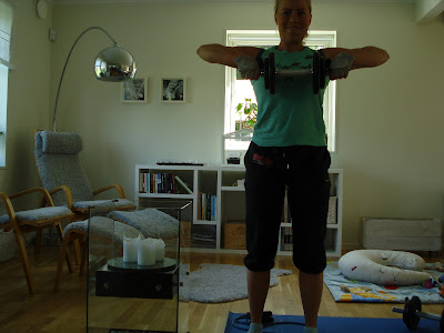 styrka-1 - Fokus axlar