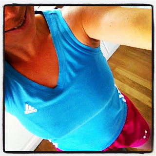 styrka-3-1 - Ren styrka