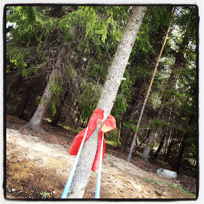 styrkepass-28229 - Ett längre styrkepass