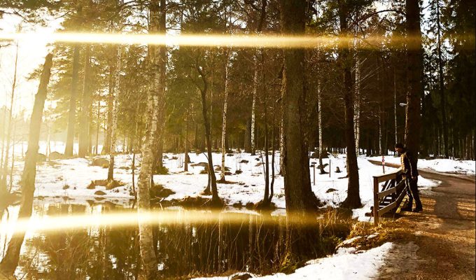 sverige-ar-fantastiskt-hogbo-brukshotell-3-1