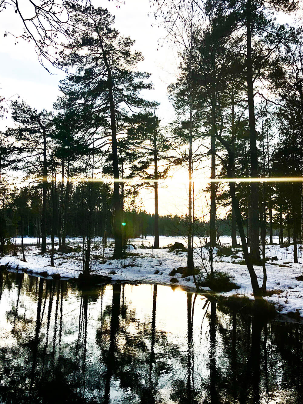 sverige-ar-fantastiskt-hogbo-brukshotell-4 - Sverige är fantastiskt!