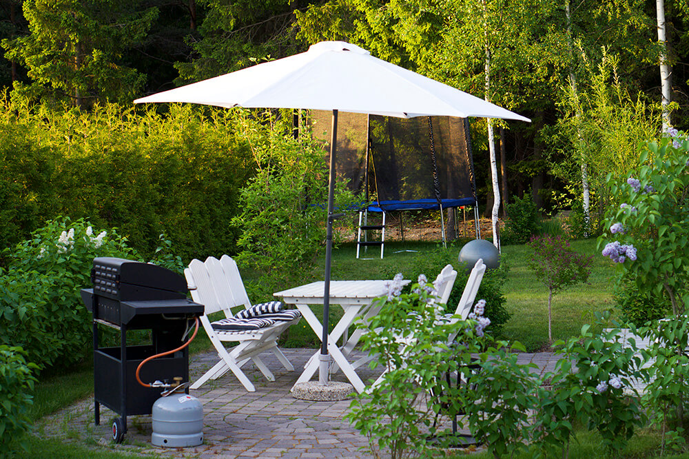 syrenberså i trädgården