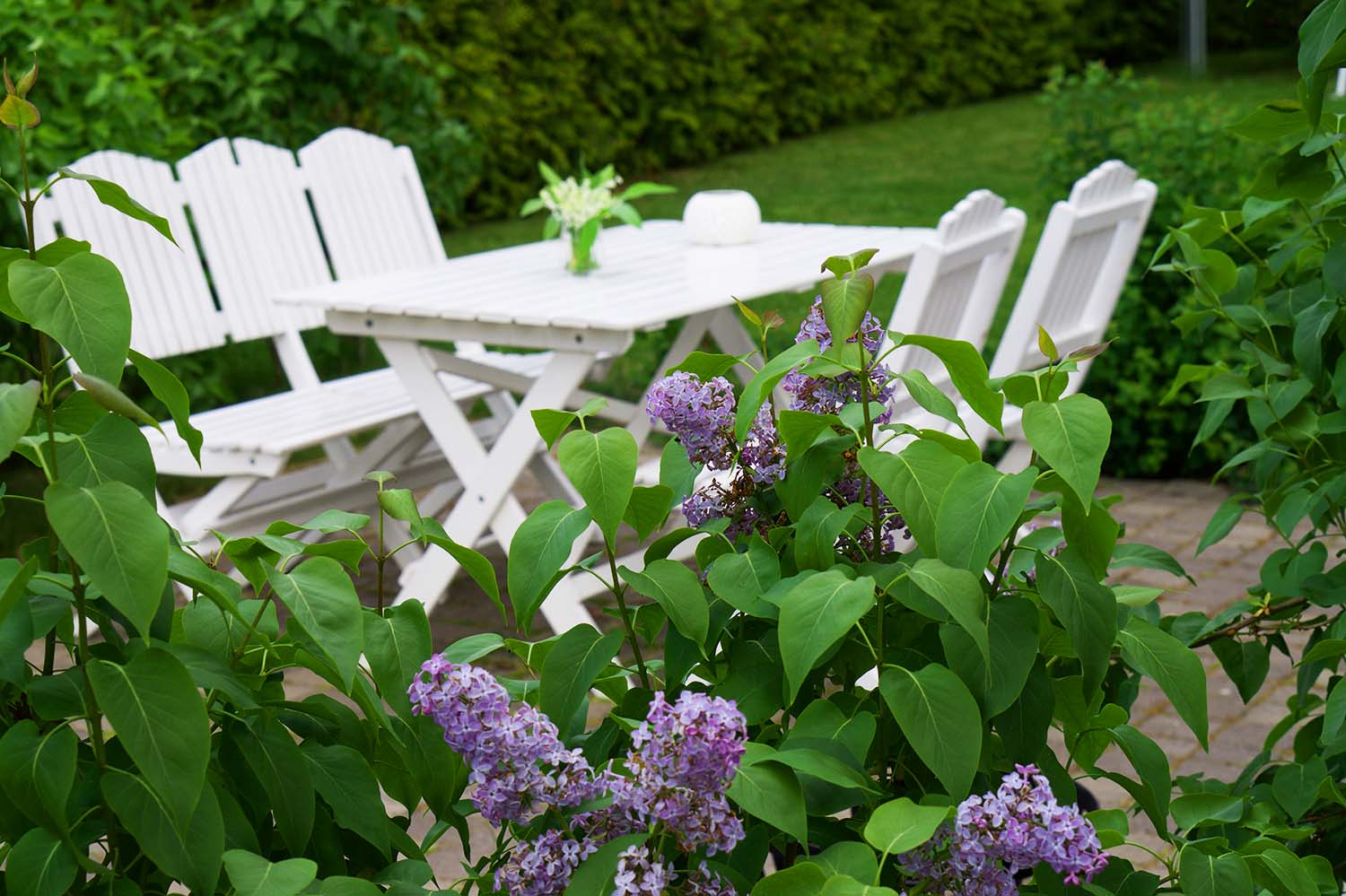 Syrenbersån och om att jobba mot sin dröm