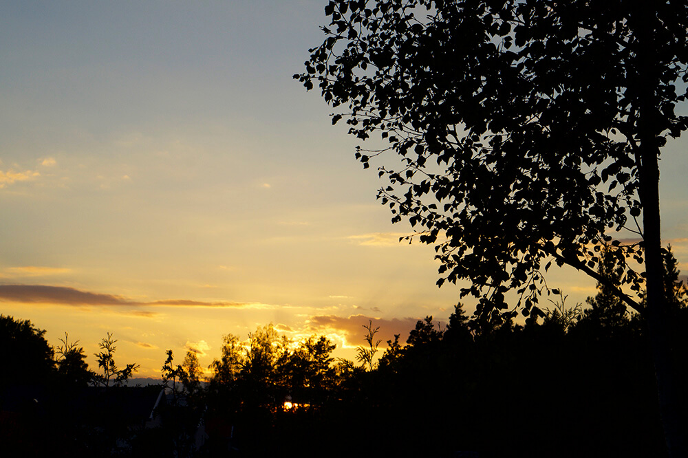 Tälta i trädgården med barnen