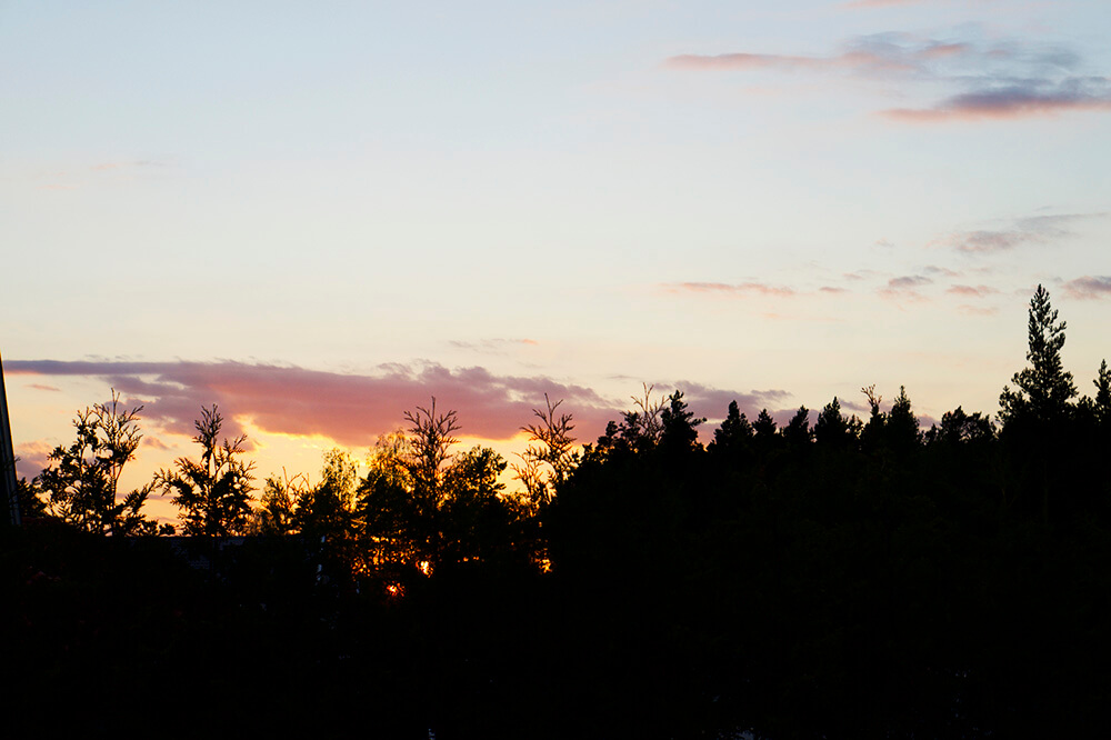 Tälta i trädgården med barnen