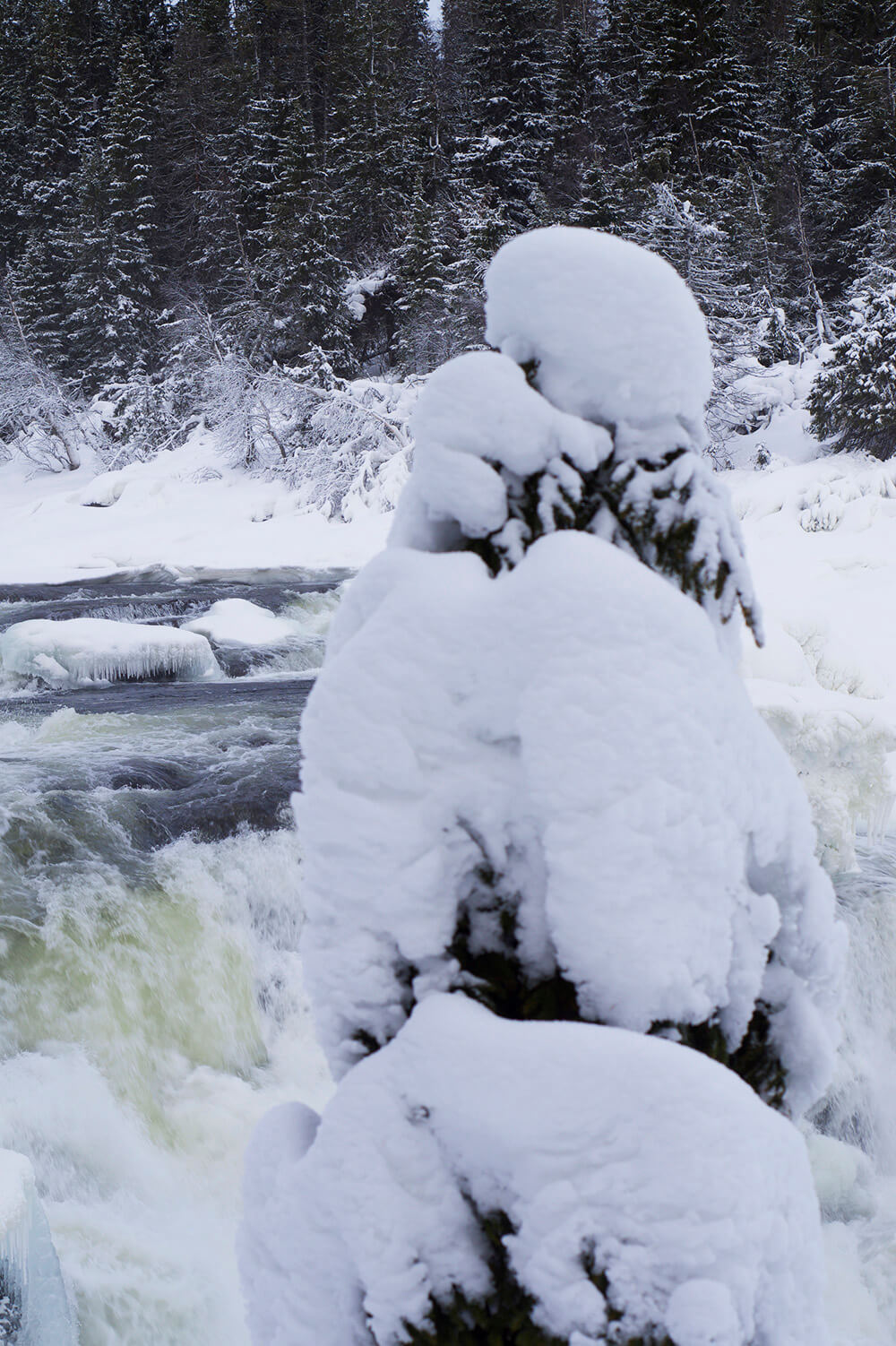 Tännforsen - Sveriges största vattenfall