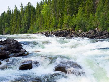 tannforsen-vattenfall-sommar-3
