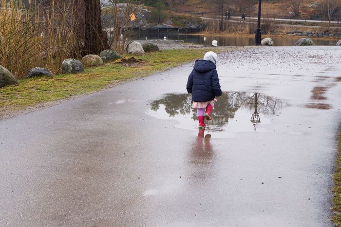 the Influencer Convention 2017