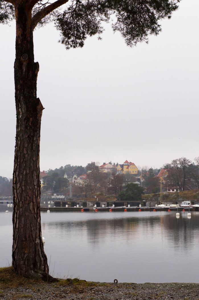 the Influencer Convention 2017